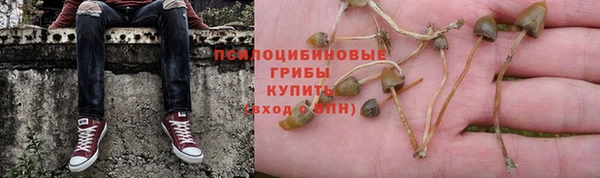 Альфа ПВП Волоколамск