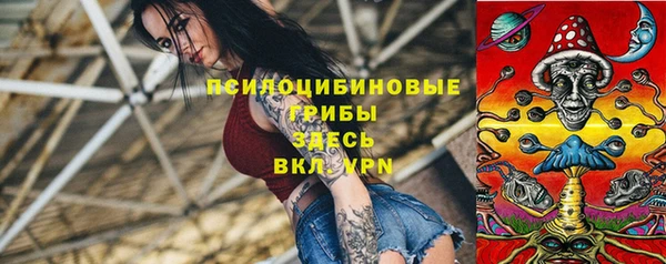 СК Волосово