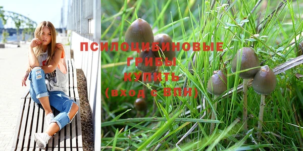 марихуана Володарск