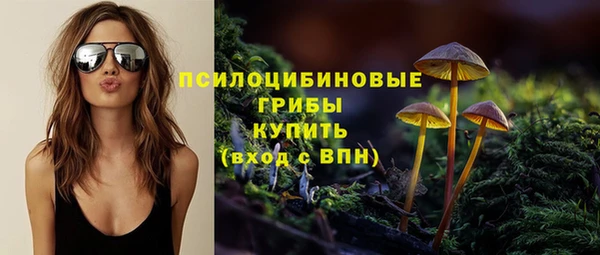Альфа ПВП Волоколамск