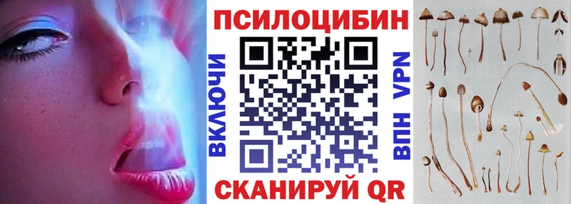 Купить где Электроугли Галлюциногенные грибы GOLDEN TEACHER